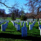 The Fallen